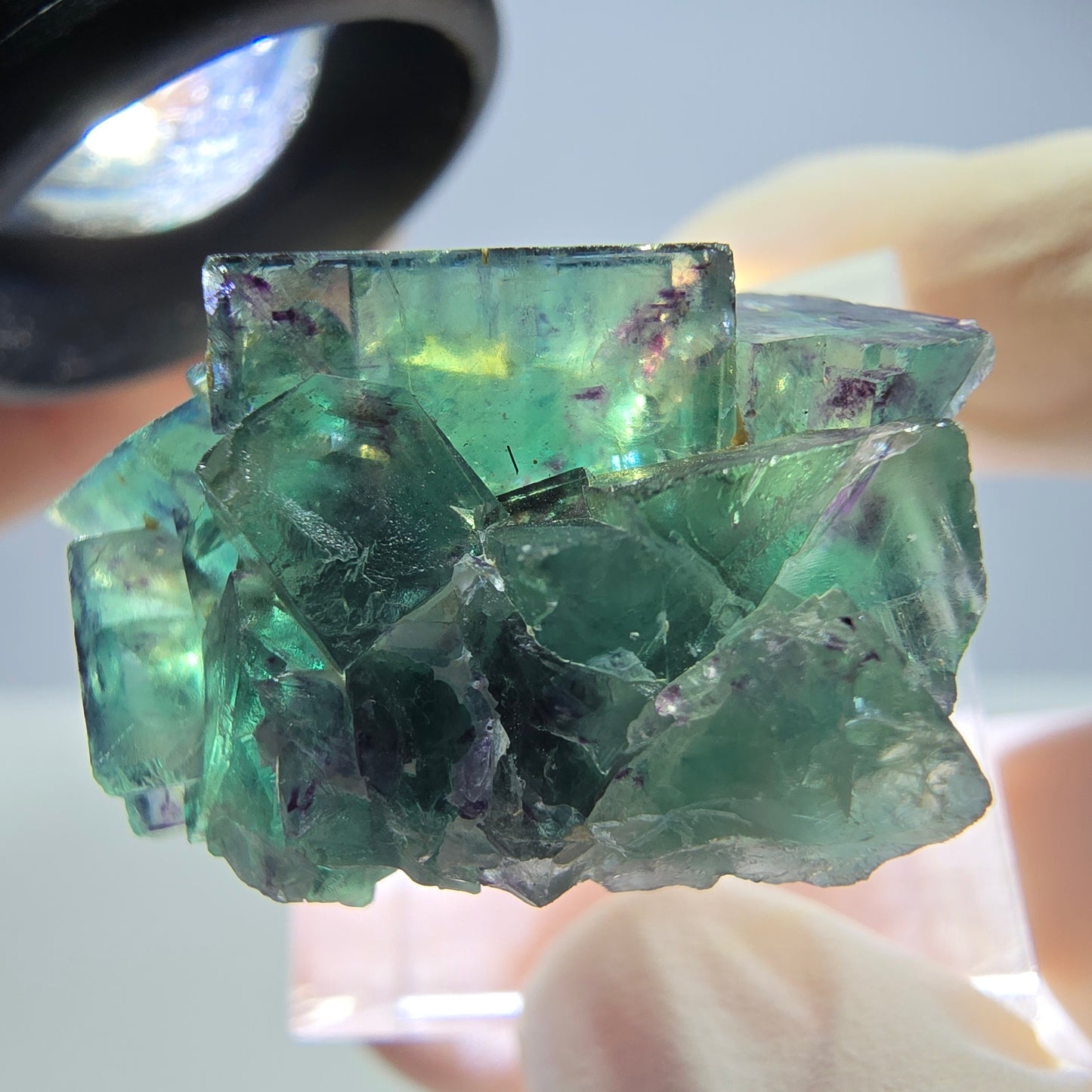 Seltene Phantom Fluorit Würfel Stufe, grün lila Okorusu, Namibia 31*20*19mm