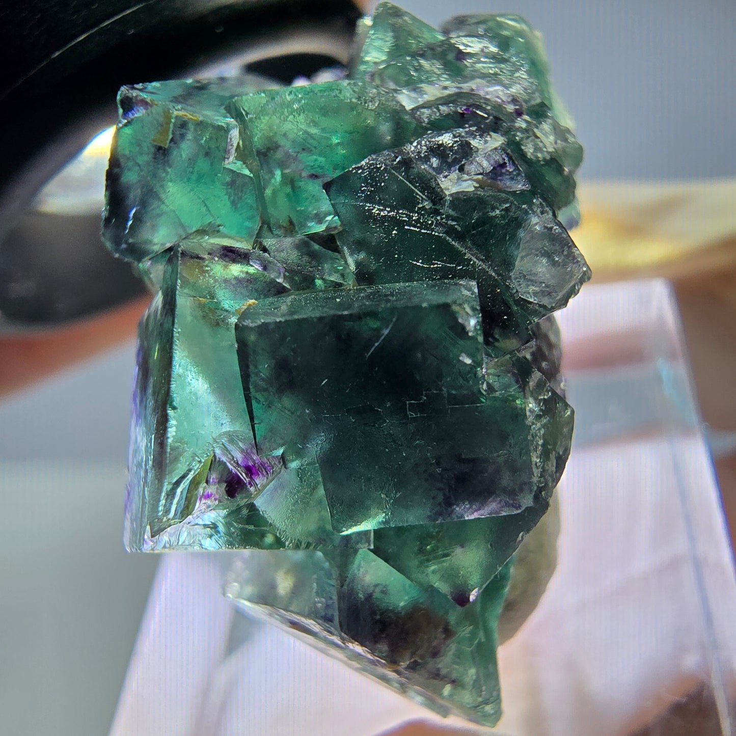 Seltene Phantom Fluorit Würfel Stufe, grün lila Okorusu, Namibia 31*20*19mm