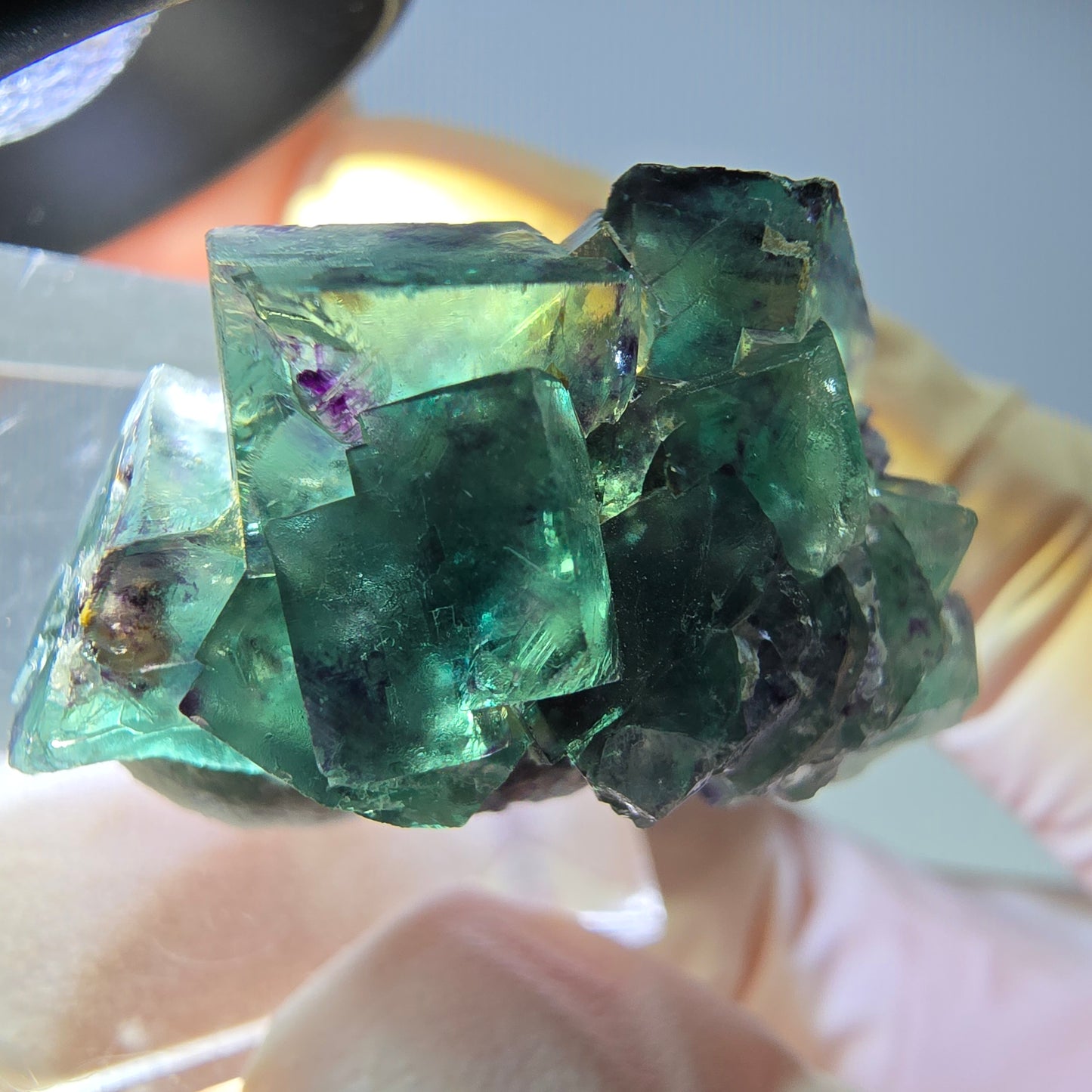 Seltene Phantom Fluorit Würfel Stufe, grün lila Okorusu, Namibia 31*20*19mm