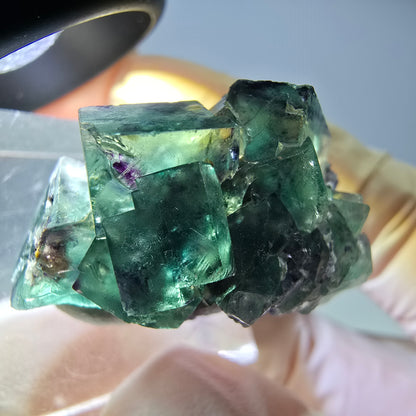 Seltene Phantom Fluorit Würfel Stufe, grün lila Okorusu, Namibia 31*20*19mm