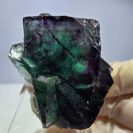 Seltene Phantom Fluorit Würfel Stufe, grün lila Okorusu, Namibia 38*30*24mm