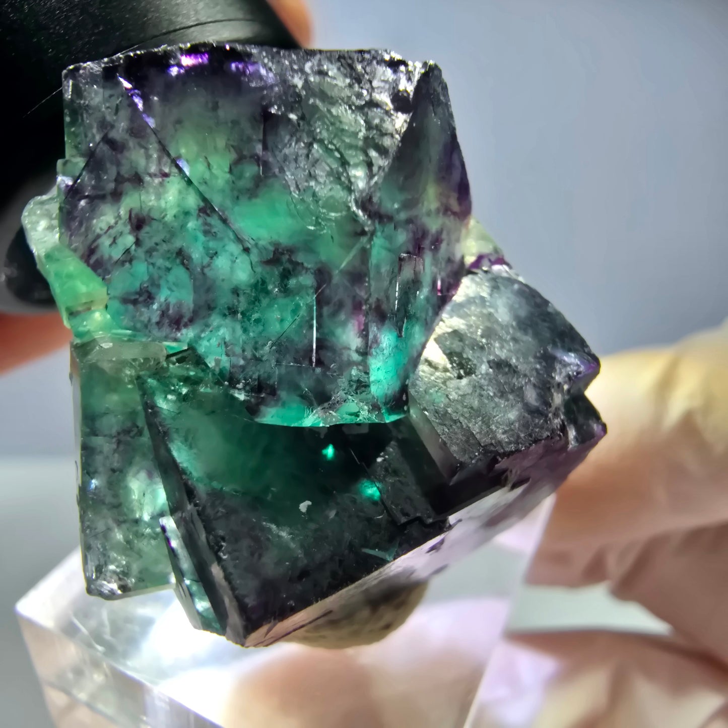 Seltene Phantom Fluorit Würfel Stufe, grün lila Okorusu, Namibia 38*30*24mm