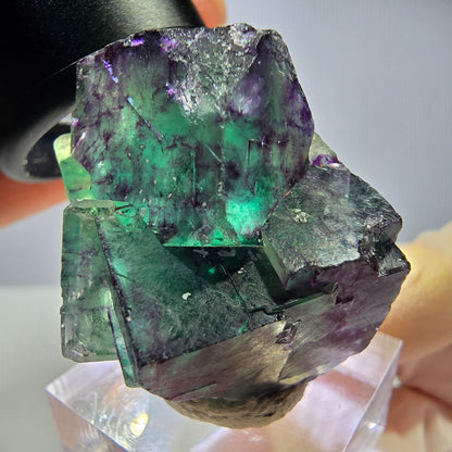 Seltene Phantom Fluorit Würfel Stufe, grün lila Okorusu, Namibia 38*30*24mm