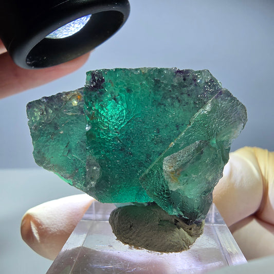 Seltene Phantom Fluorit Würfel Stufe, grün lila Okorusu, Namibia 39*30*17mm