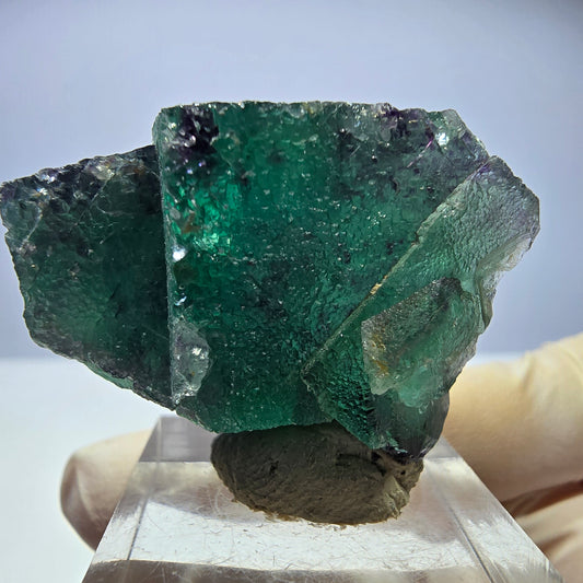Seltene Phantom Fluorit Würfel Stufe, grün lila Okorusu, Namibia 39*30*17mm