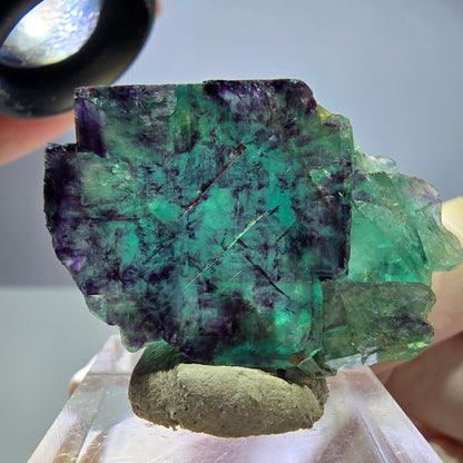 Seltene Phantom Fluorit Würfel Stufe, grün lila Okorusu, Namibia 38*26*12mm