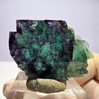Seltene Phantom Fluorit Würfel Stufe, grün lila Okorusu, Namibia 38*26*12mm