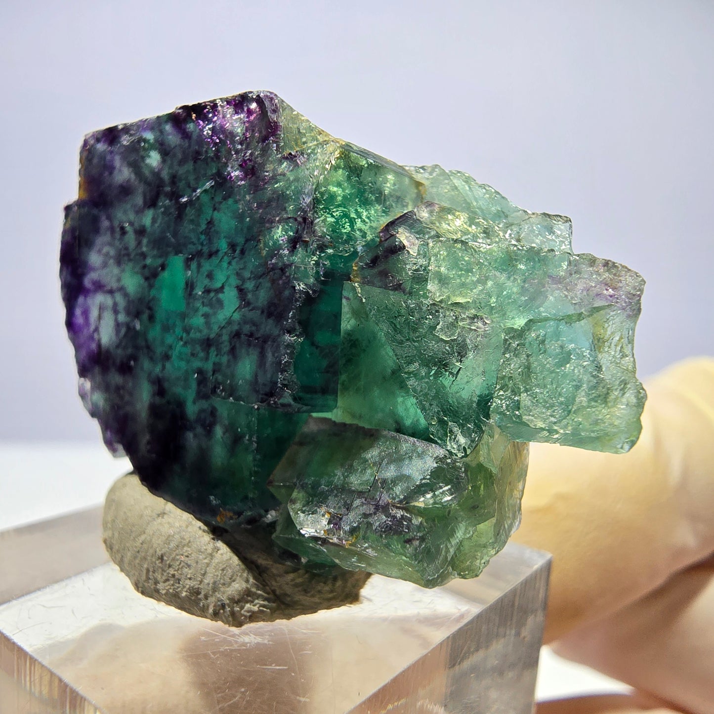 Seltene Phantom Fluorit Würfel Stufe, grün lila Okorusu, Namibia 38*26*12mm