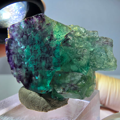 Seltene Phantom Fluorit Würfel Stufe, grün lila Okorusu, Namibia 38*26*12mm