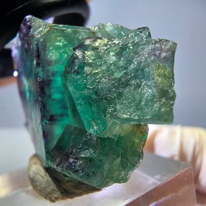 Seltene Phantom Fluorit Würfel Stufe, grün lila Okorusu, Namibia 38*26*12mm