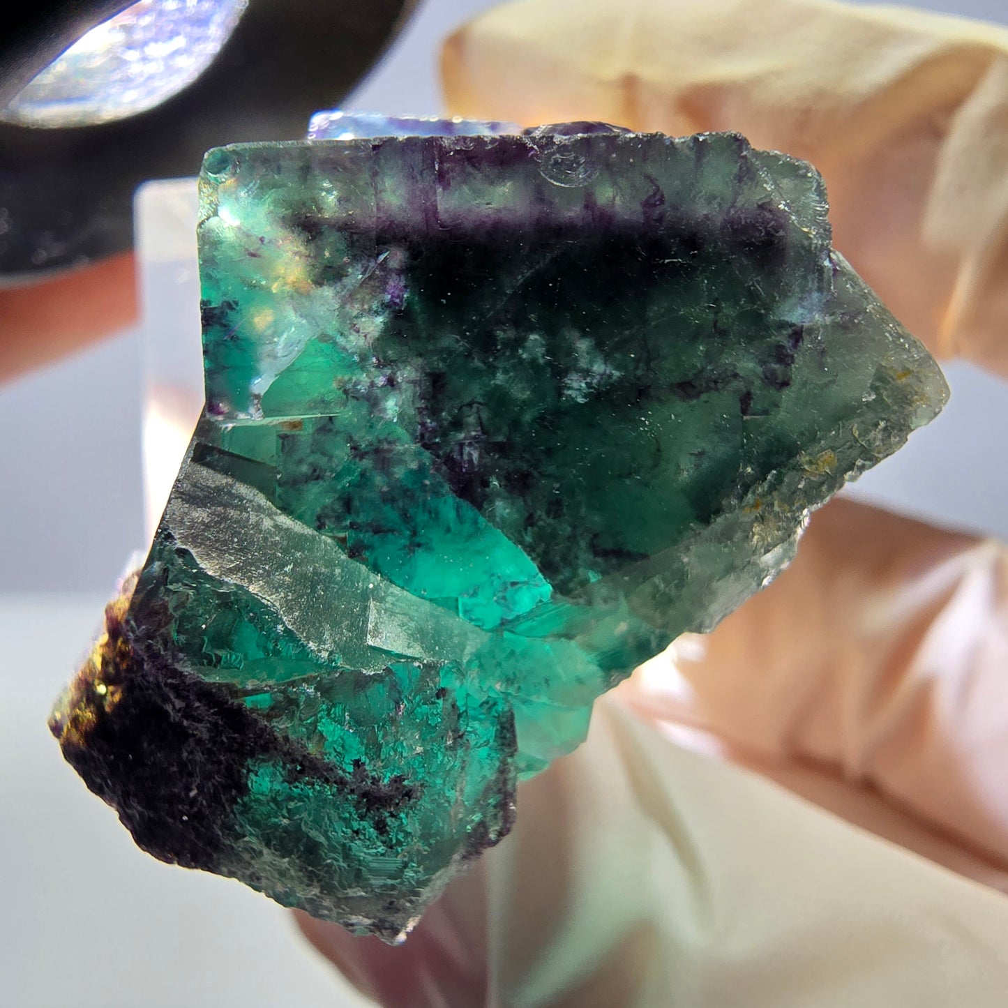 Seltene Phantom Fluorit Würfel Stufe, grün lila Okorusu, Namibia 33*32*19mm