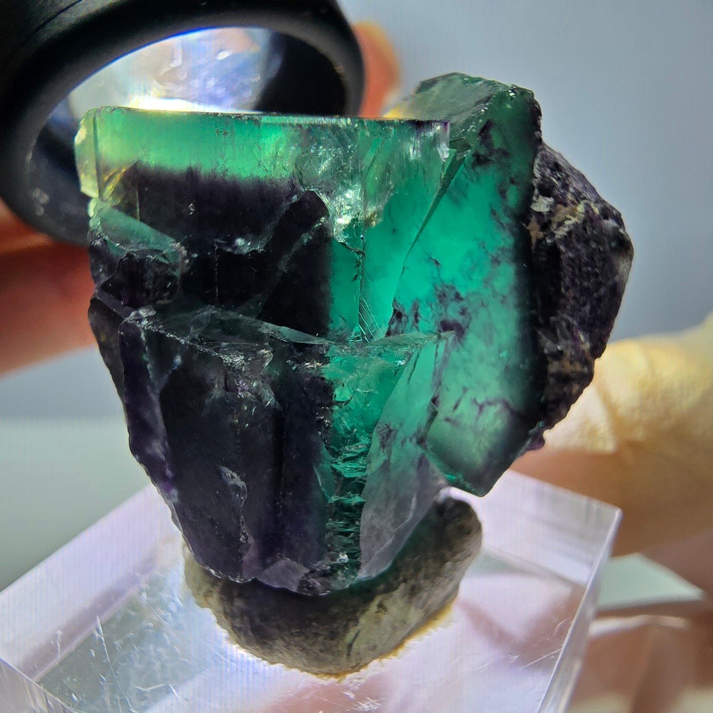 Seltene Phantom Fluorit Würfel Stufe, grün lila Okorusu, Namibia 33*32*19mm