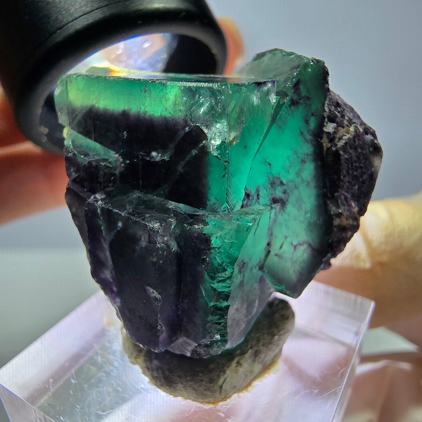 Seltene Phantom Fluorit Würfel Stufe, grün lila Okorusu, Namibia 33*32*19mm