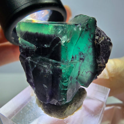 Seltene Phantom Fluorit Würfel Stufe, grün lila Okorusu, Namibia 33*32*19mm