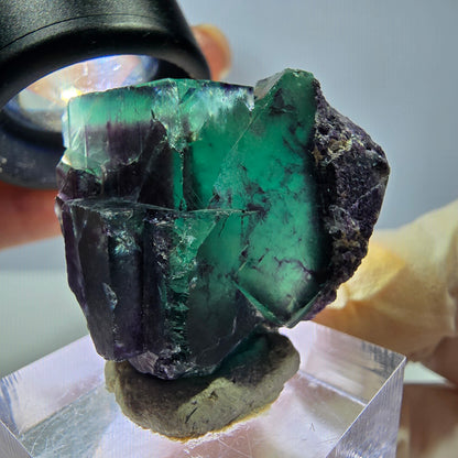 Seltene Phantom Fluorit Würfel Stufe, grün lila Okorusu, Namibia 33*32*19mm