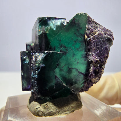 Seltene Phantom Fluorit Würfel Stufe, grün lila Okorusu, Namibia 33*32*19mm
