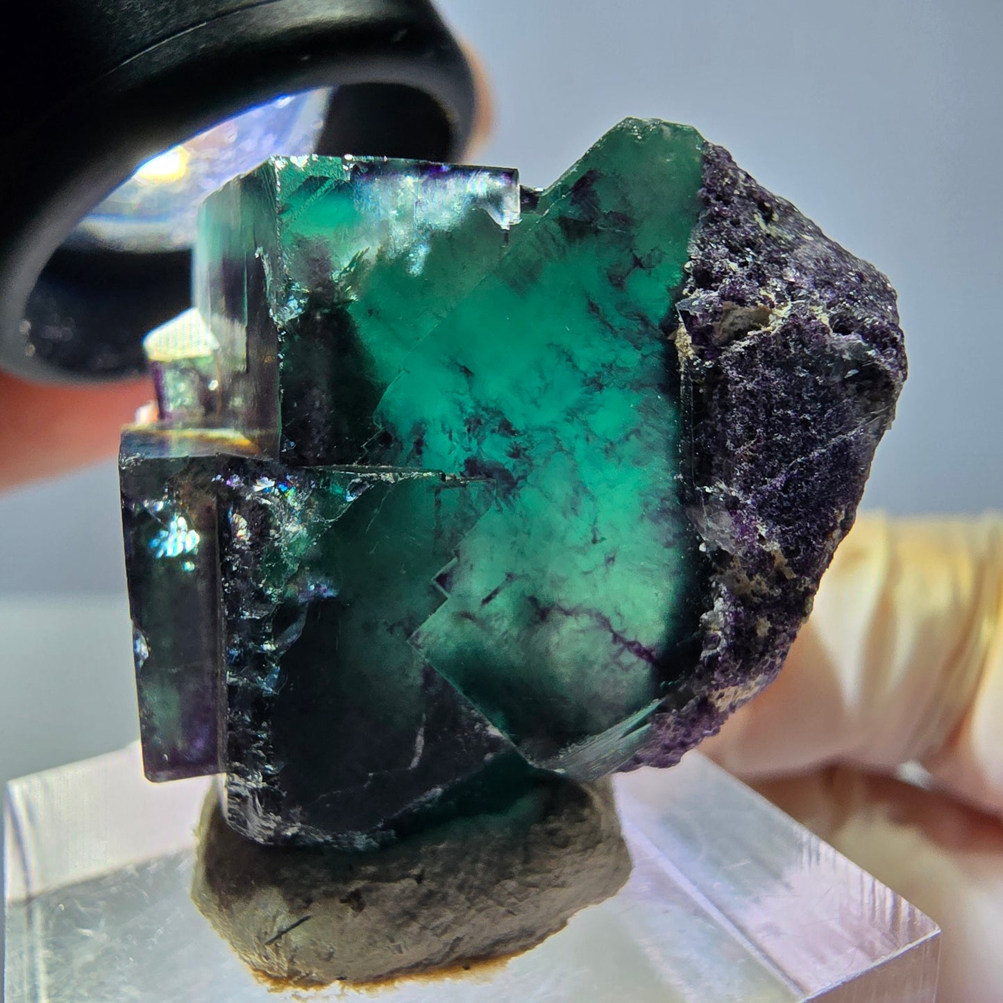 Seltene Phantom Fluorit Würfel Stufe, grün lila Okorusu, Namibia 33*32*19mm