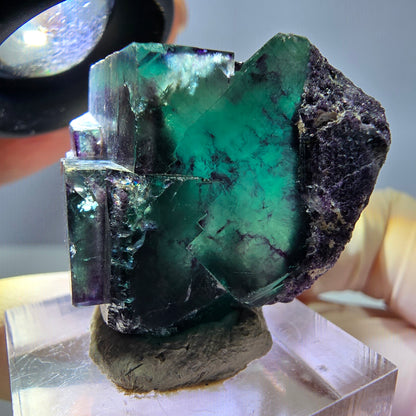 Seltene Phantom Fluorit Würfel Stufe, grün lila Okorusu, Namibia 33*32*19mm