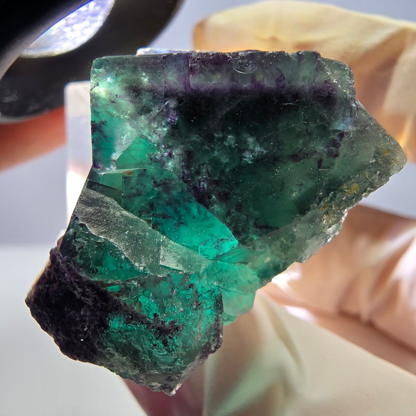 Seltene Phantom Fluorit Würfel Stufe, grün lila Okorusu, Namibia 33*32*19mm