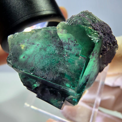 Seltene Phantom Fluorit Würfel Stufe, grün lila Okorusu, Namibia 33*32*19mm