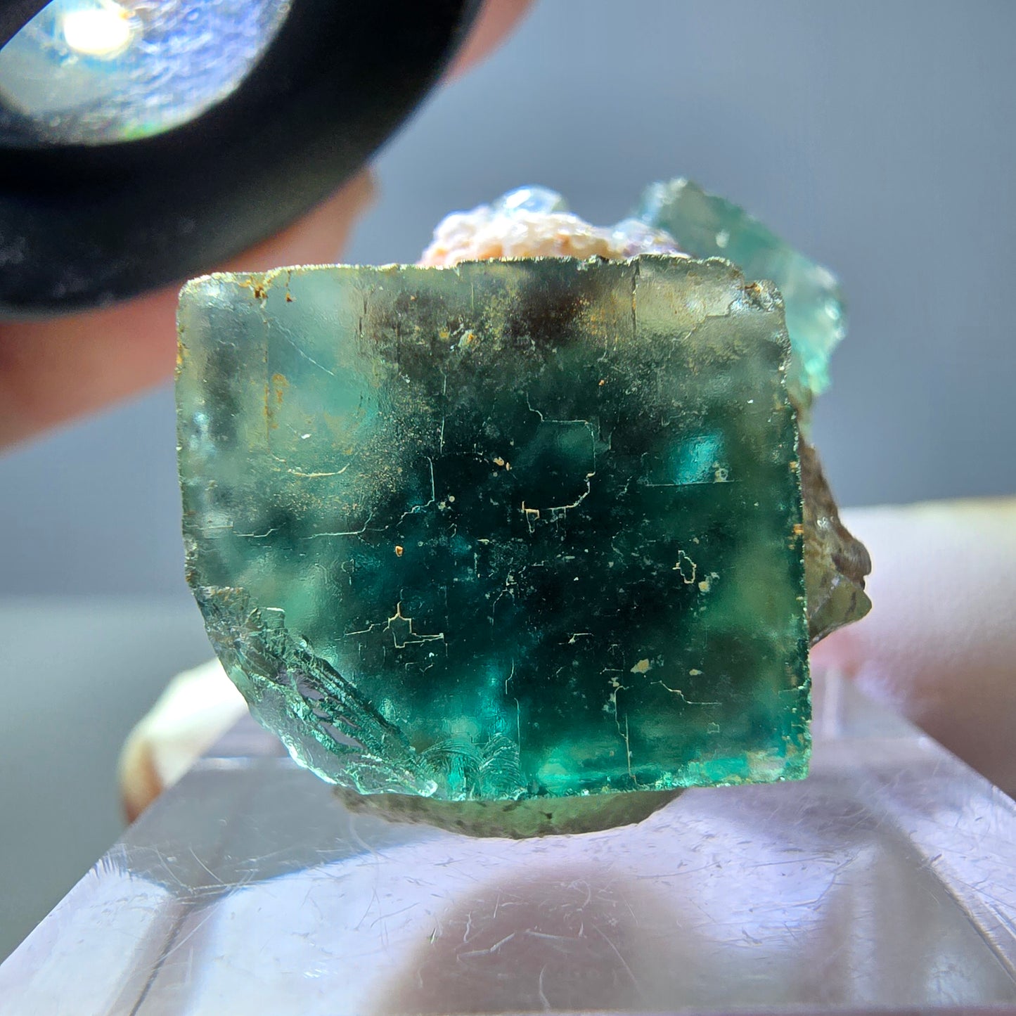 Seltene Phantom Fluorit Würfel Stufe, grün lila Okorusu, Namibia 29*20*20mm