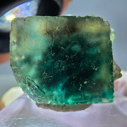 Seltene Phantom Fluorit Würfel Stufe, grün lila Okorusu, Namibia 29*20*20mm