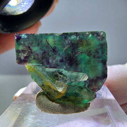 Seltene Phantom Fluorit Würfel Stufe, grün lila Okorusu, Namibia 23*22*15mm