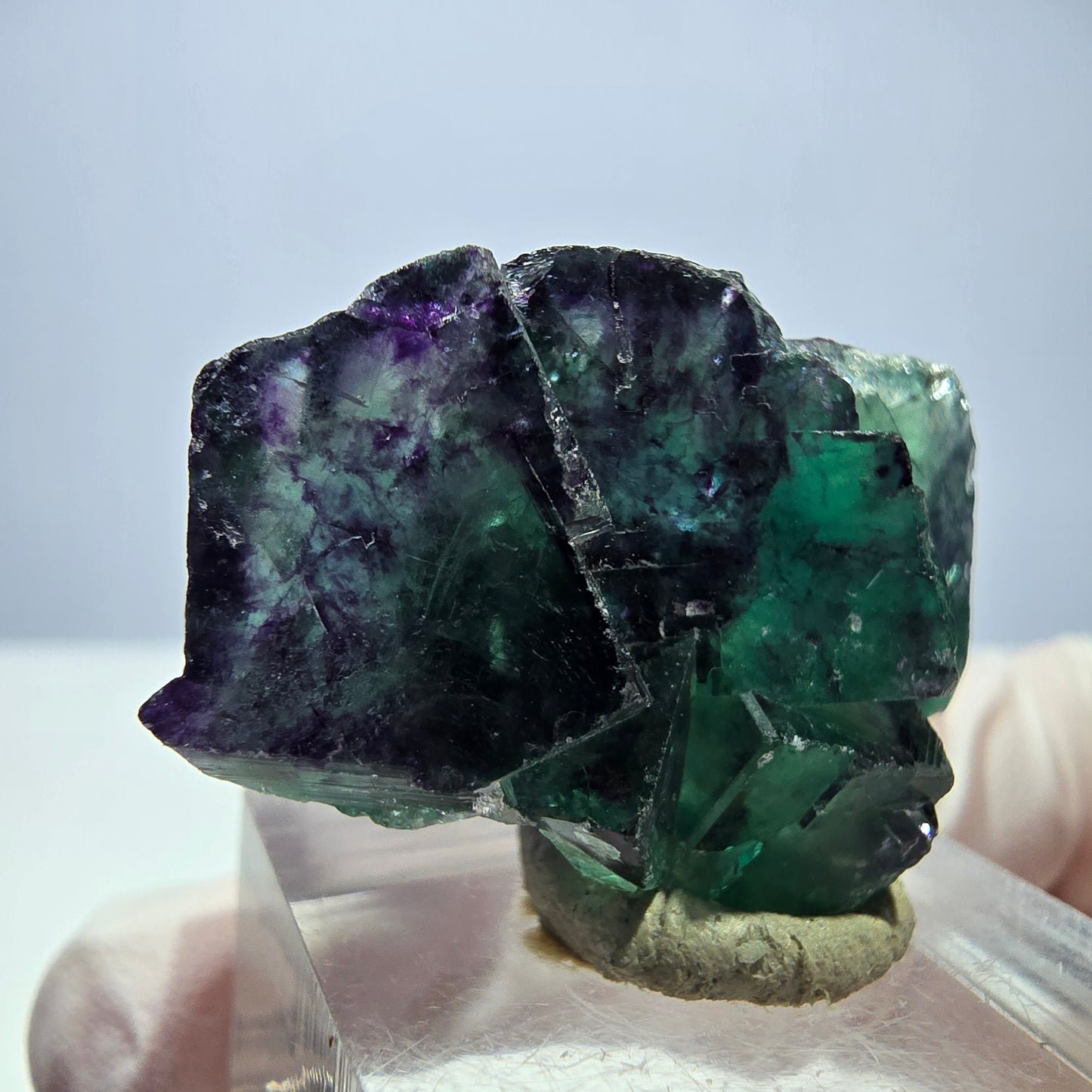 Seltene Phantom Fluorit Würfel Stufe, grün lila Okorusu, Namibia 37*23*14mm
