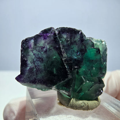 Seltene Phantom Fluorit Würfel Stufe, grün lila Okorusu, Namibia 37*23*14mm