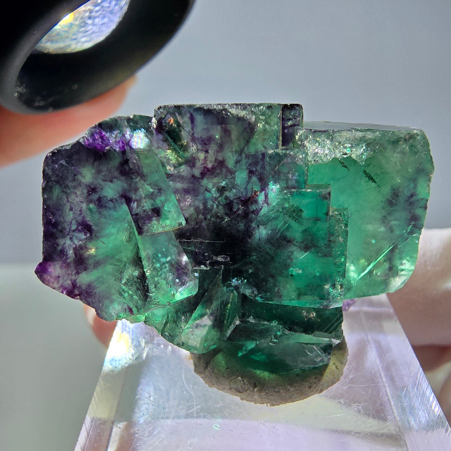 Seltene Phantom Fluorit Würfel Stufe, grün lila Okorusu, Namibia 37*23*14mm