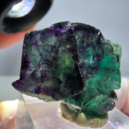 Seltene Phantom Fluorit Würfel Stufe, grün lila Okorusu, Namibia 37*23*14mm