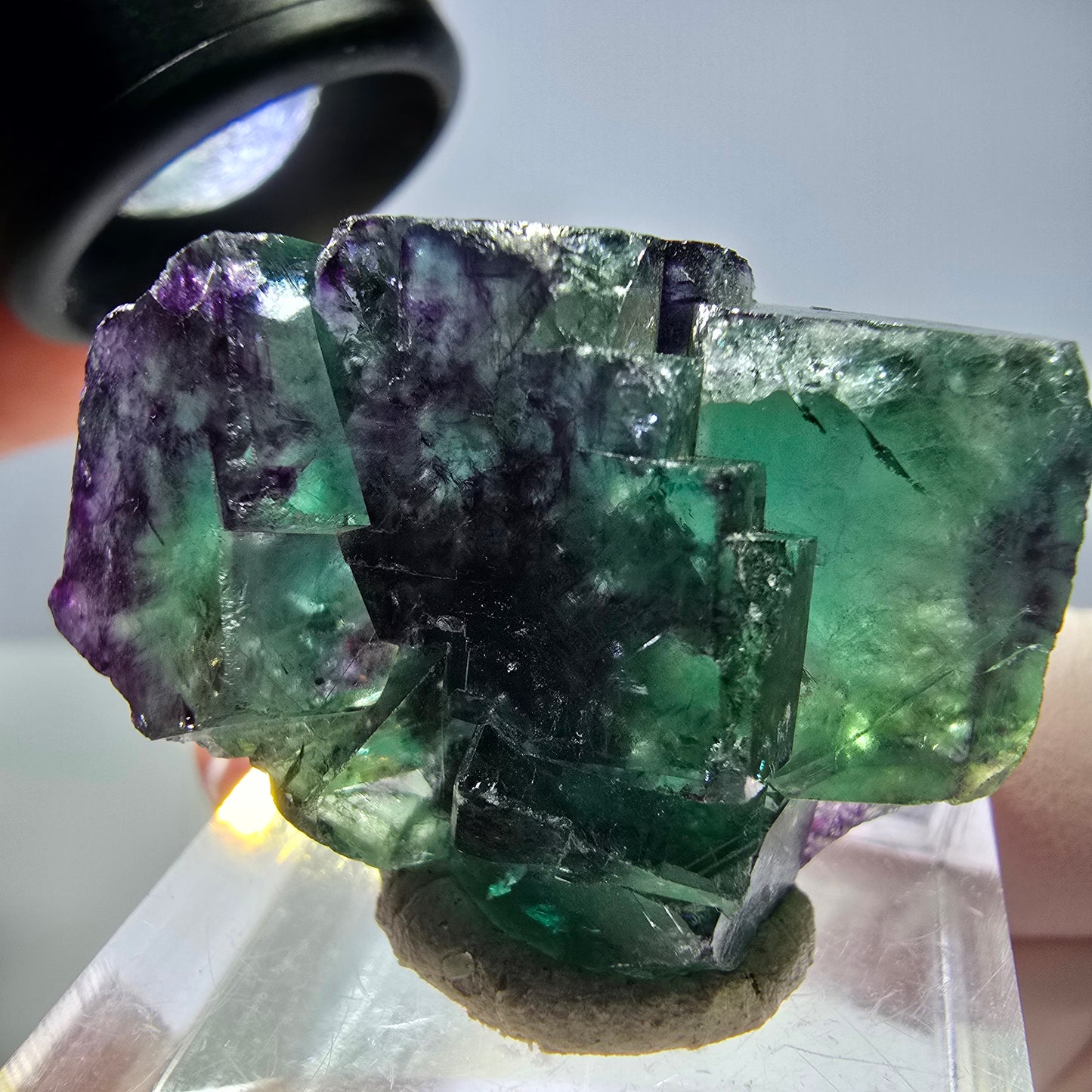Seltene Phantom Fluorit Würfel Stufe, grün lila Okorusu, Namibia 37*23*14mm
