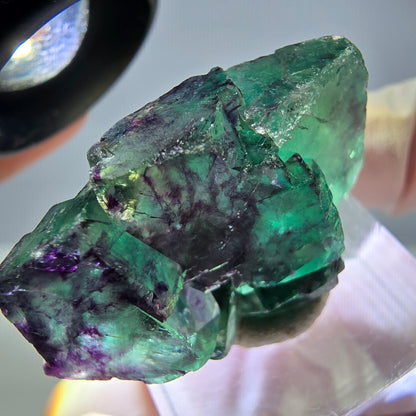 Seltene Phantom Fluorit Würfel Stufe, grün lila Okorusu, Namibia 37*23*14mm