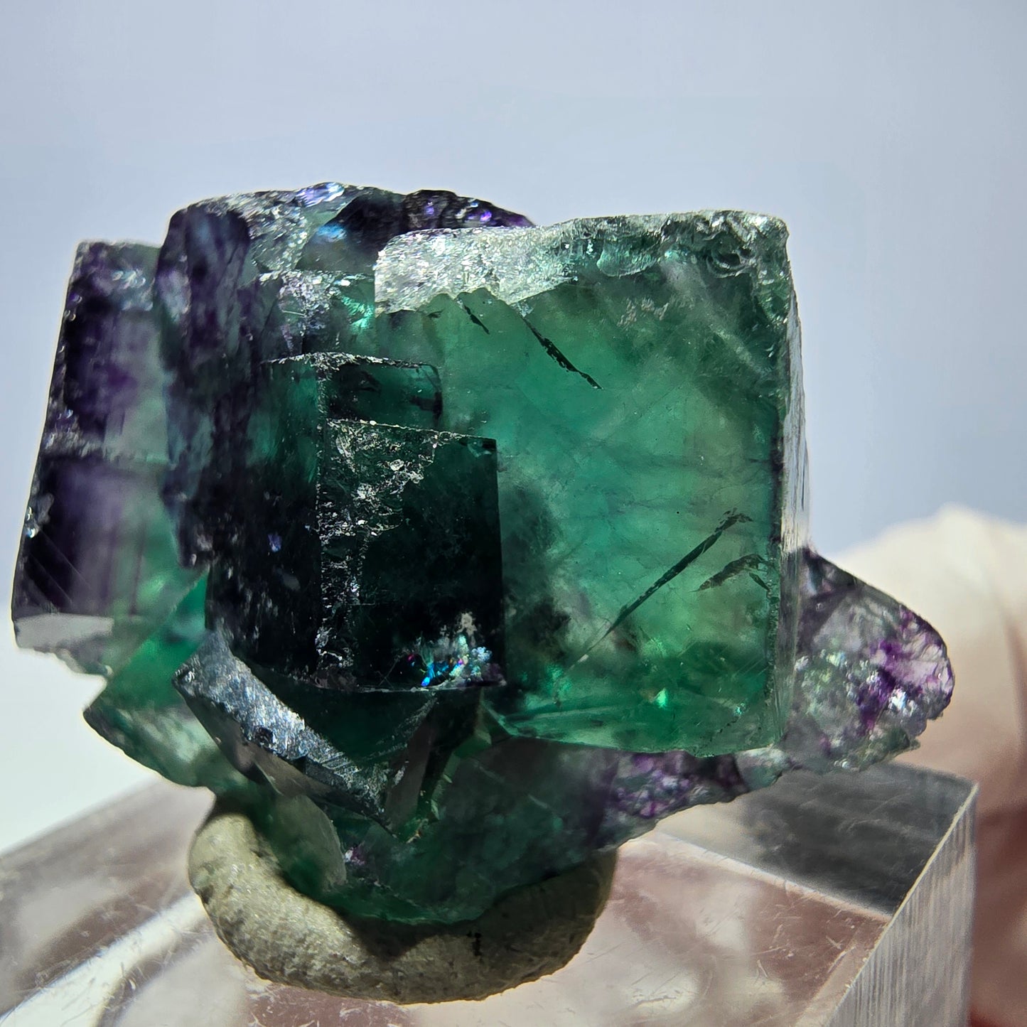 Seltene Phantom Fluorit Würfel Stufe, grün lila Okorusu, Namibia 37*23*14mm