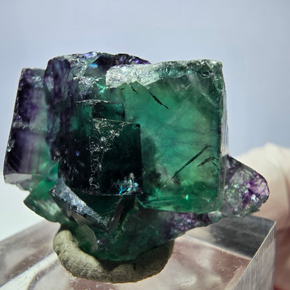 Seltene Phantom Fluorit Würfel Stufe, grün lila Okorusu, Namibia 37*23*14mm