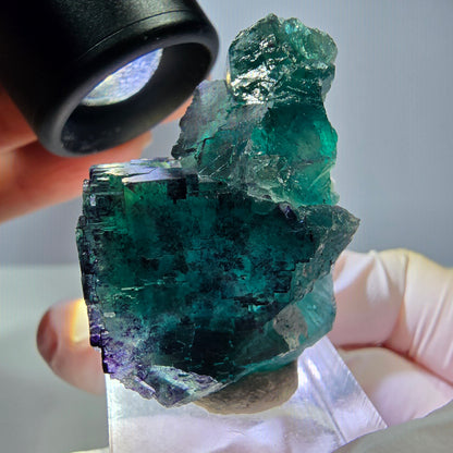 Seltene Phantom Fluorit Würfel Stufe, grün lila Okorusu, Namibia 39*25*24mm