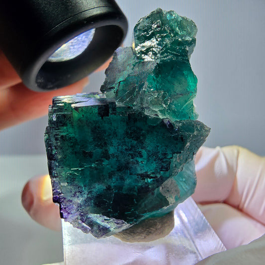 Seltene Phantom Fluorit Würfel Stufe, grün lila Okorusu, Namibia 39*25*24mm