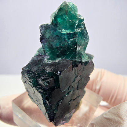 Seltene Phantom Fluorit Würfel Stufe, grün lila Okorusu, Namibia 39*25*24mm