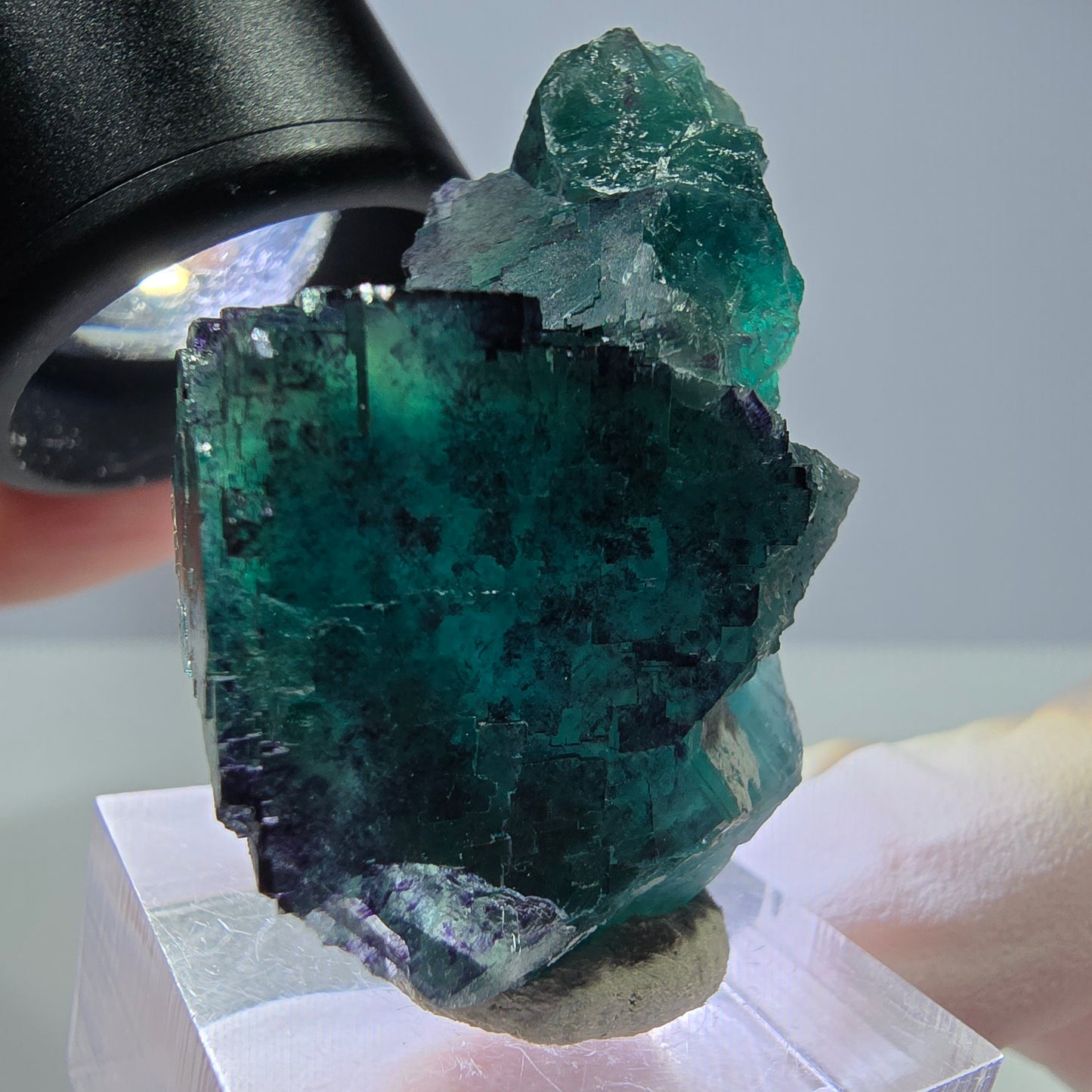 Seltene Phantom Fluorit Würfel Stufe, grün lila Okorusu, Namibia 39*25*24mm