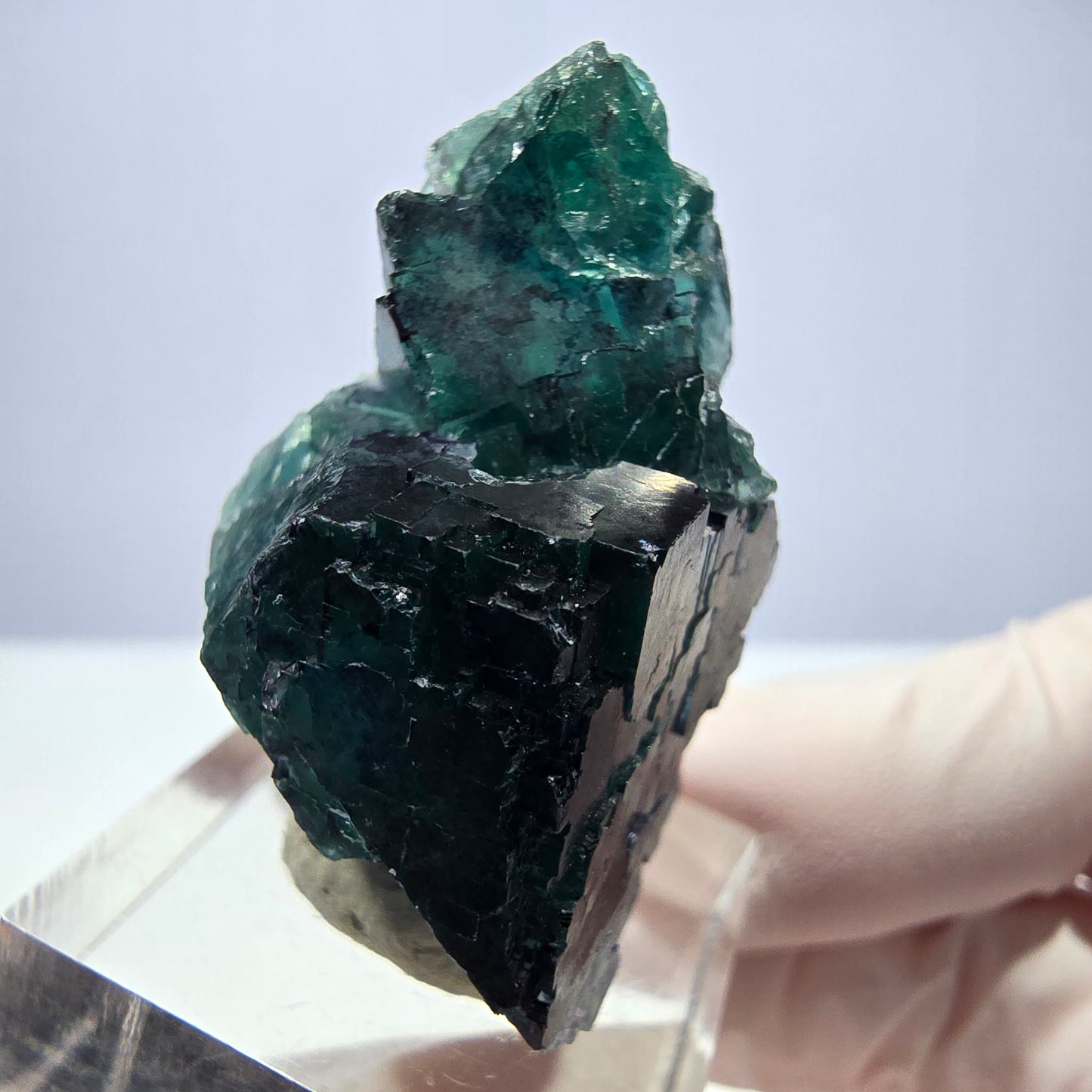 Seltene Phantom Fluorit Würfel Stufe, grün lila Okorusu, Namibia 39*25*24mm