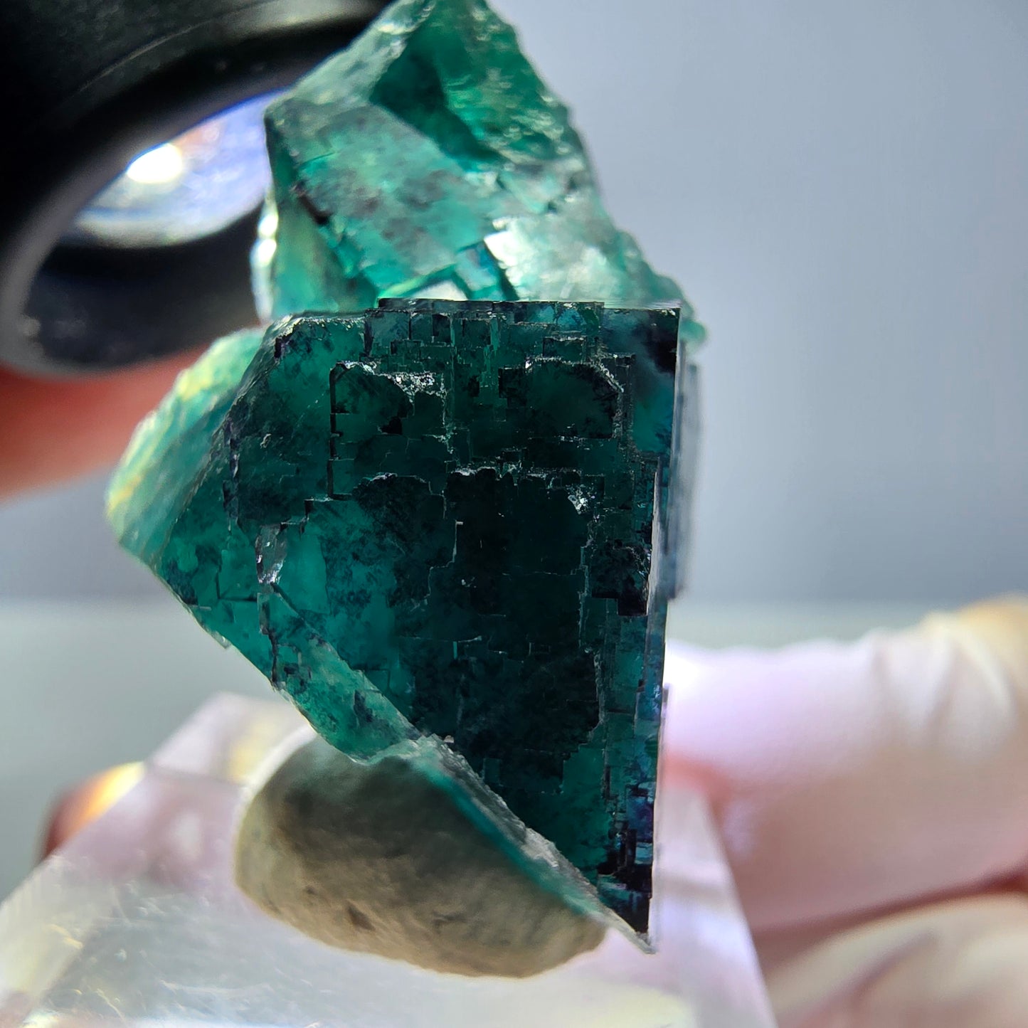 Seltene Phantom Fluorit Würfel Stufe, grün lila Okorusu, Namibia 39*25*24mm