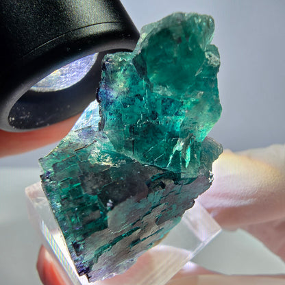 Seltene Phantom Fluorit Würfel Stufe, grün lila Okorusu, Namibia 39*25*24mm