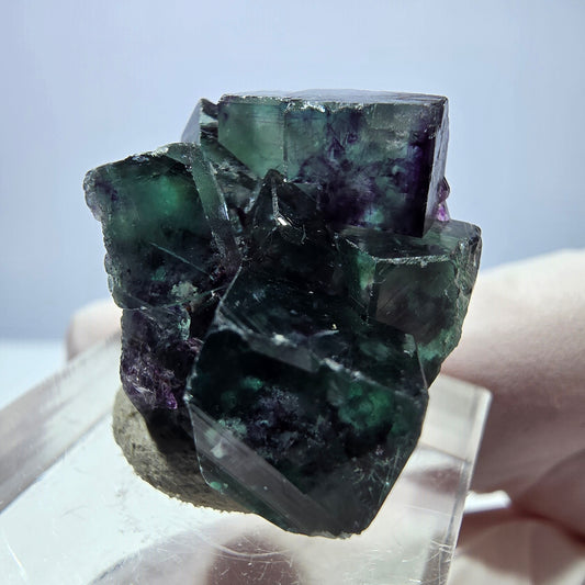 Seltene Phantom Fluorit Würfel Stufe, grün lila Okorusu, Namibia 25*22*16mm
