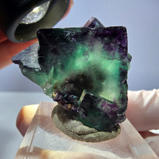 Seltene Phantom Fluorit Würfel Stufe, grün lila Okorusu, Namibia 36*24*23mm