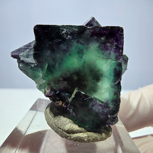 Seltene Phantom Fluorit Würfel Stufe, grün lila Okorusu, Namibia 36*24*23mm