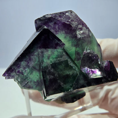 Seltene Phantom Fluorit Würfel Stufe, grün lila Okorusu, Namibia 36*24*23mm