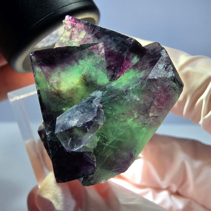 Seltene Phantom Fluorit Würfel Stufe, grün lila Okorusu, Namibia 36*24*23mm