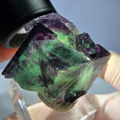 Seltene Phantom Fluorit Würfel Stufe, grün lila Okorusu, Namibia 36*24*23mm