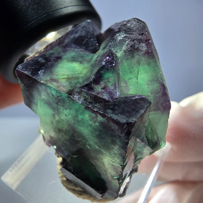 Seltene Phantom Fluorit Würfel Stufe, grün lila Okorusu, Namibia 36*24*23mm