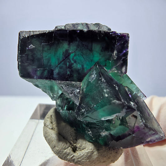 Seltene Phantom Fluorit Würfel Stufe, grün lila Okorusu, Namibia 39*26*21mm